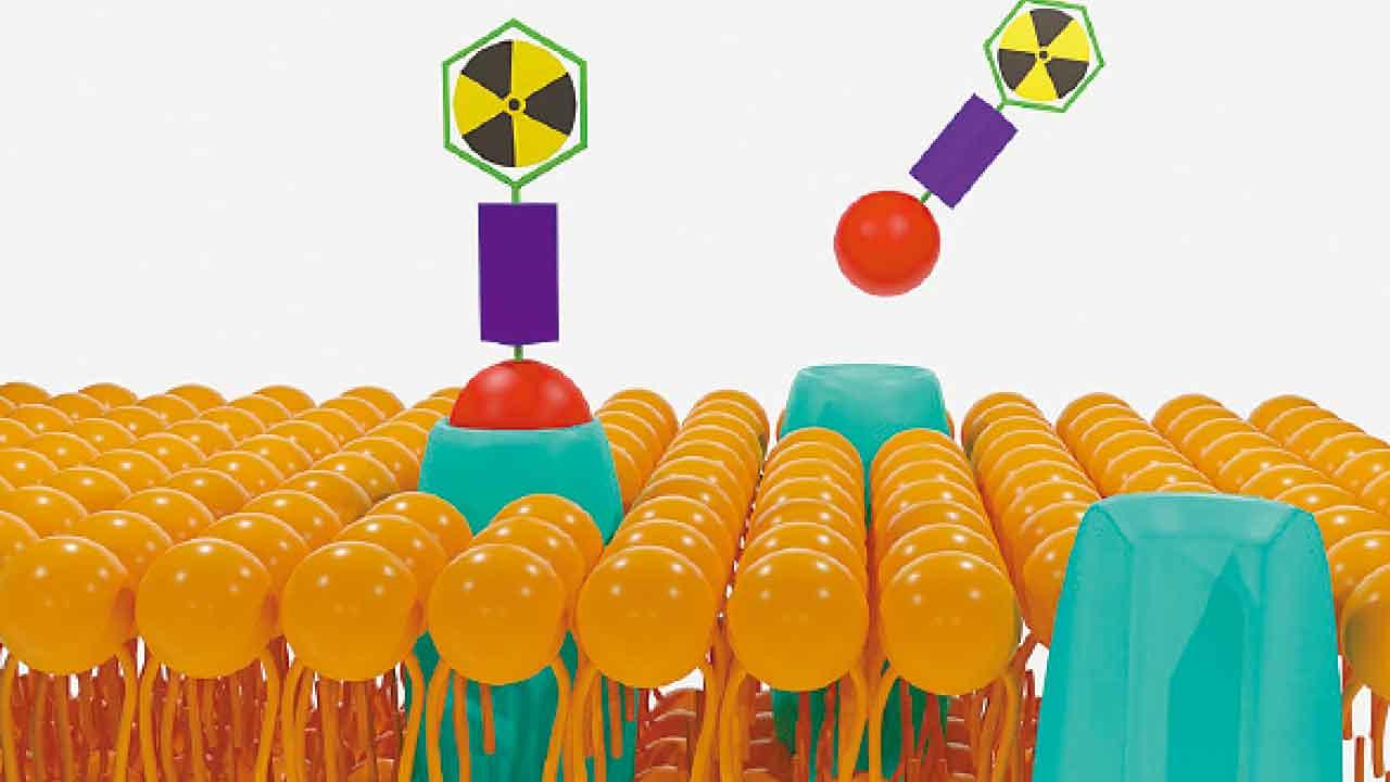 放射同位素治療