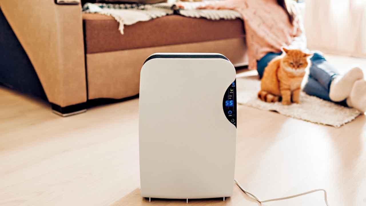 驚蟄將至潮濕來襲  居家潮濕蟲侵擾防不勝防