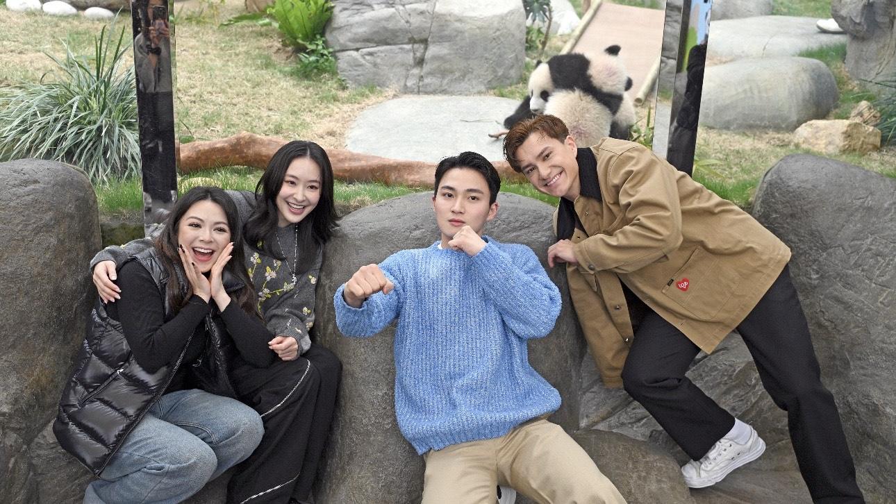 《痞子》演員率先探「龍鳳胎」 陳瀅直言想成為大熊貓護理員 