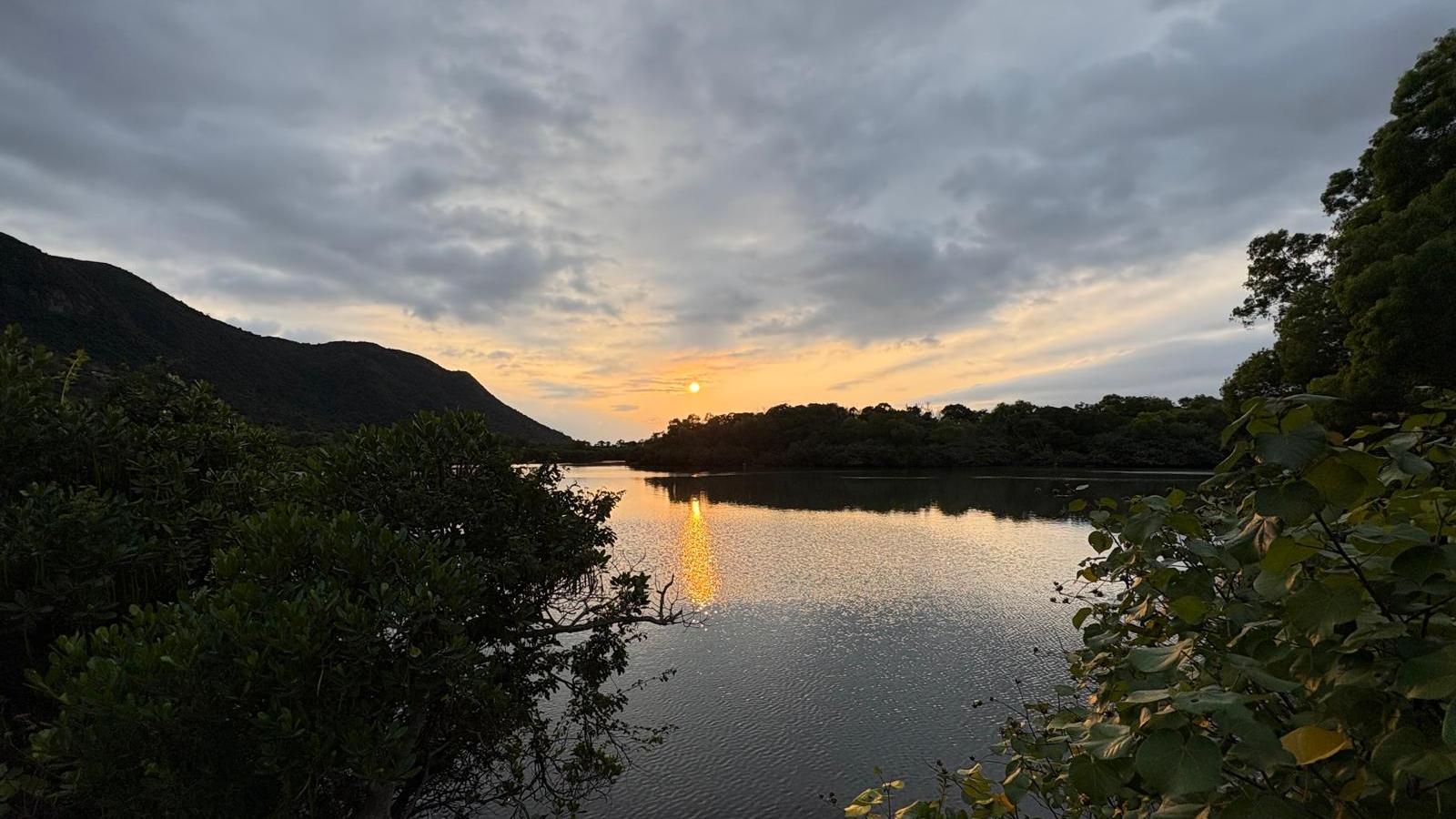 蛇年運氣 說養生