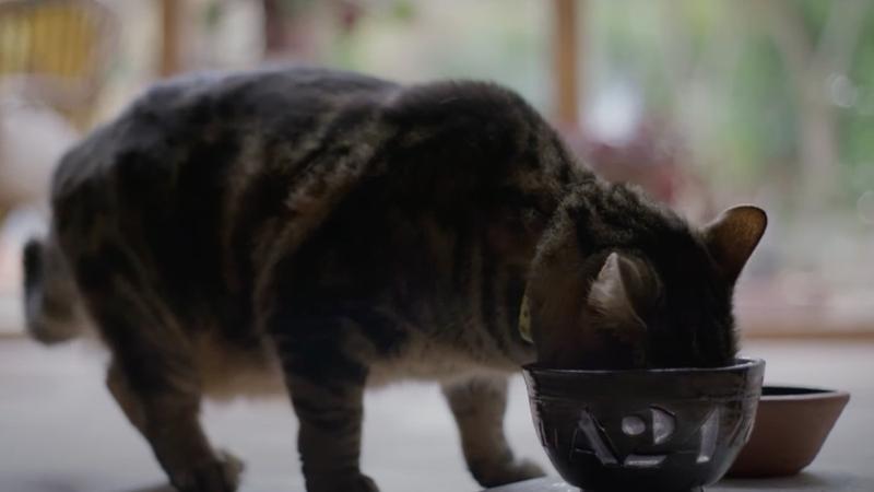 A24最新恐怖片預告 《Bring Her Back》玩邪教祭典