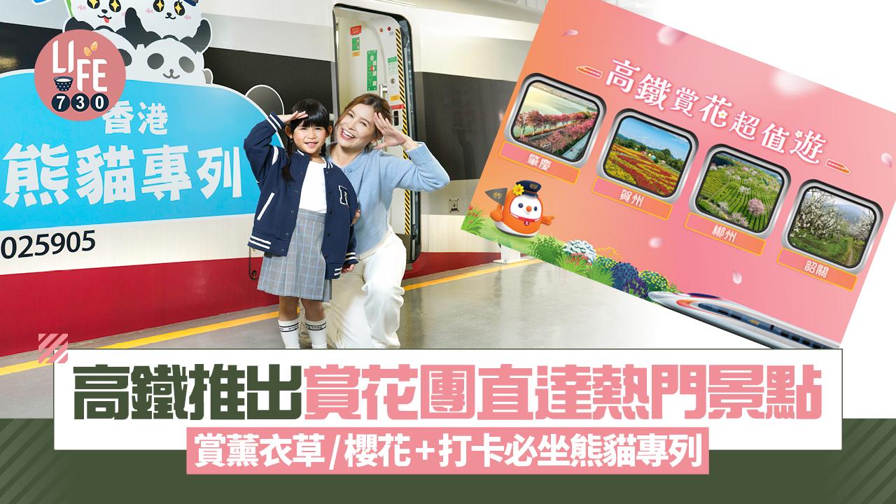 北上旅遊｜高鐵推出賞花團 直達熱門景點賞南方薰衣草/櫻花/油菜花田+打卡必坐熊貓專列