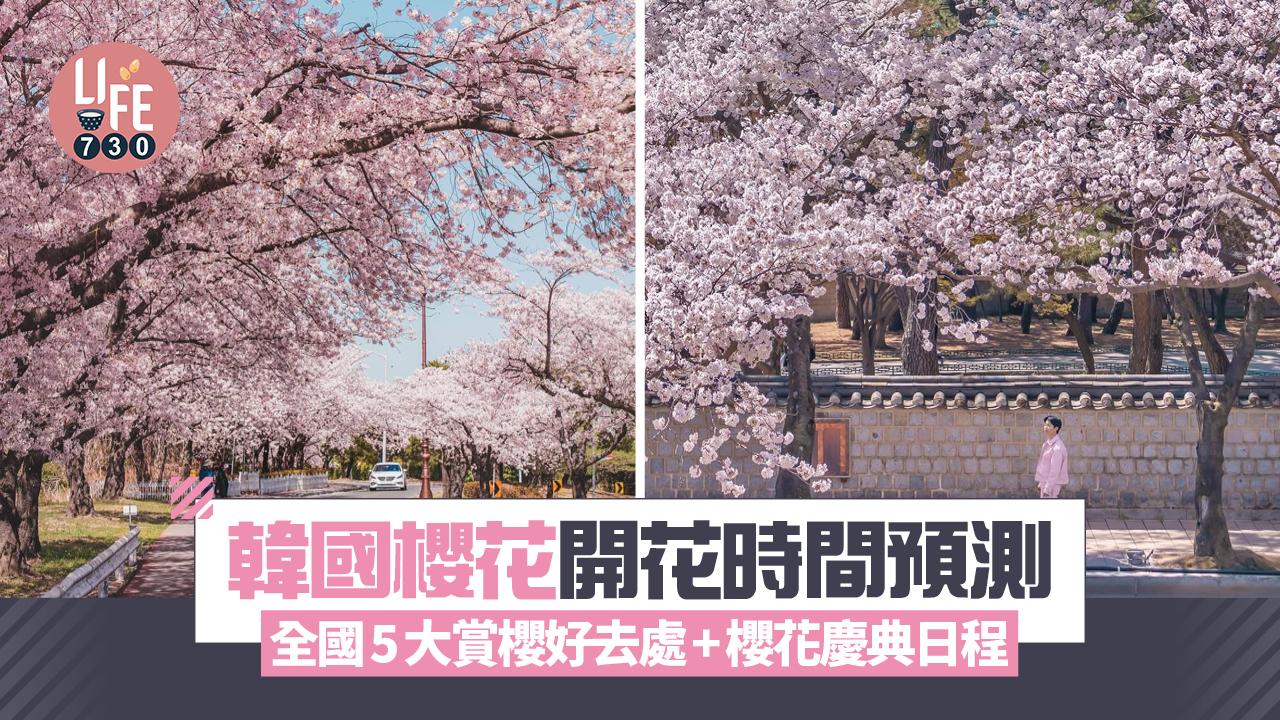 韓國櫻花2025｜整合韓國櫻花開花時間預測 首爾4月初開花5大賞櫻好去處+櫻花慶典日程