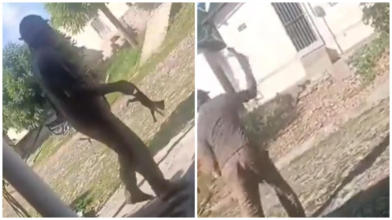 阿伯當眾殺貓稱「又唔係殺人」，2日後遭槍殺。(X)