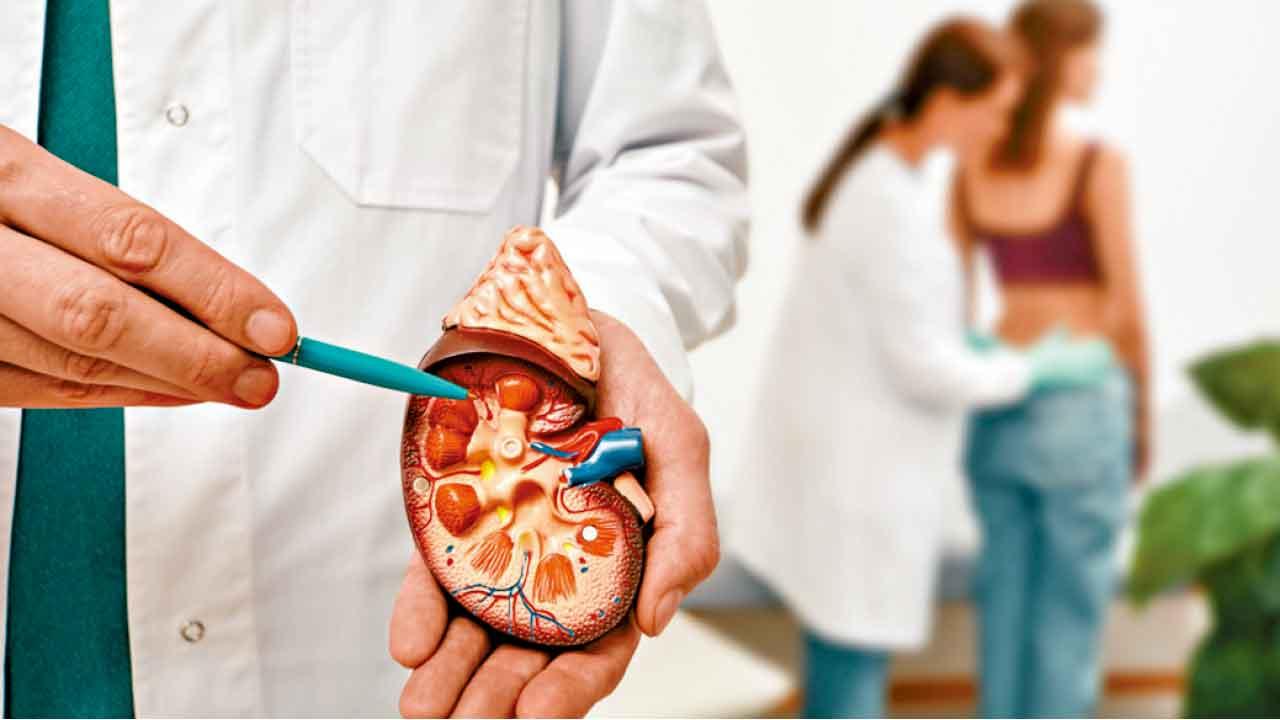 腎臟功能的評估