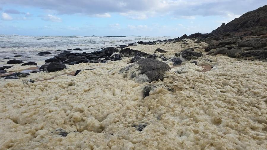 澳洲海灘現神秘泡沫