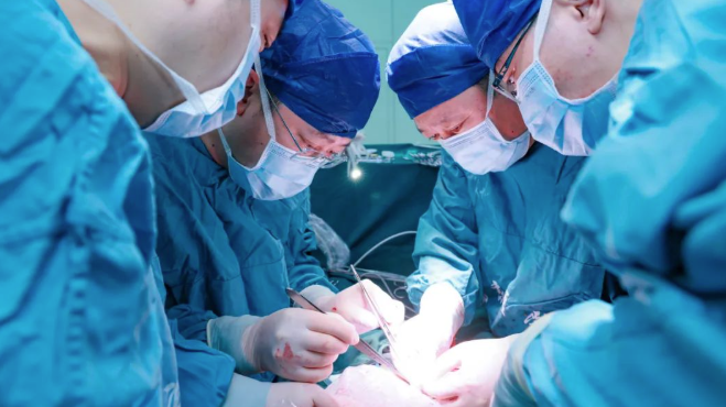 亞洲首例！西京醫院基因豬腎植人體 69歲末期婦可下床