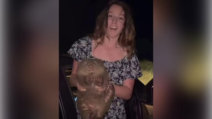 瓊斯因為擅自抱走袋熊事件而成澳洲的「公敵」。(影片截圖)