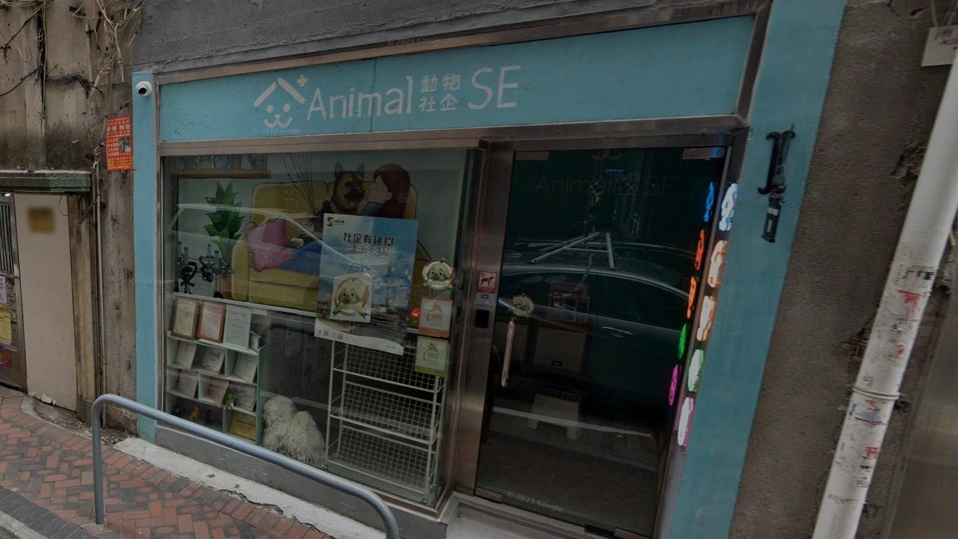 尖沙咀發生狗狗暈倒事件。（Google地圖截圖）