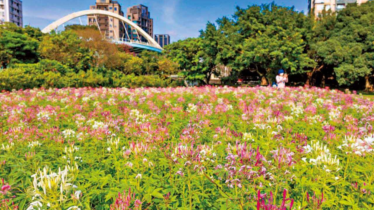 宜蘭十分賞花海 放天燈 泡溫泉奢華美食4天遊 入住台北喜來登 食好 住豪 嘆盡 