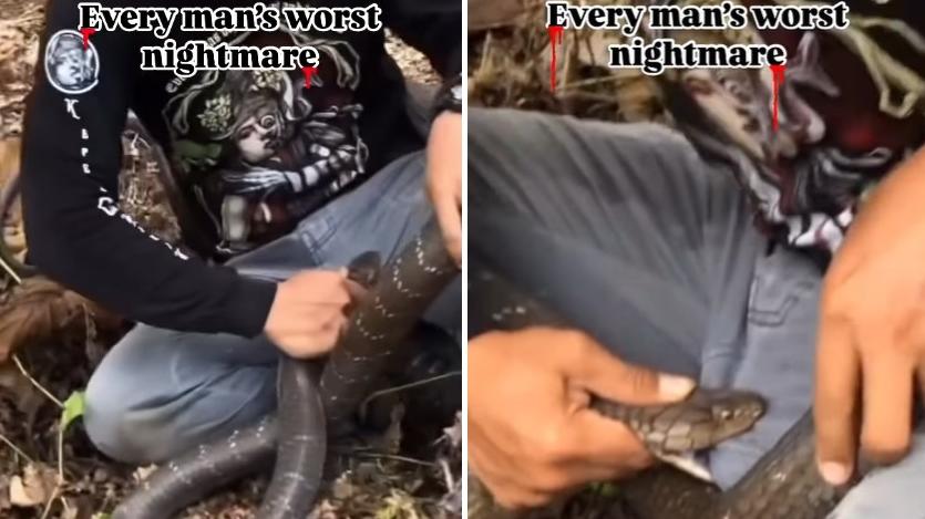 男子被蛇咬住褲襠左邊位置不放，被嘲是「男士最壞的噩夢」。(互聯網)