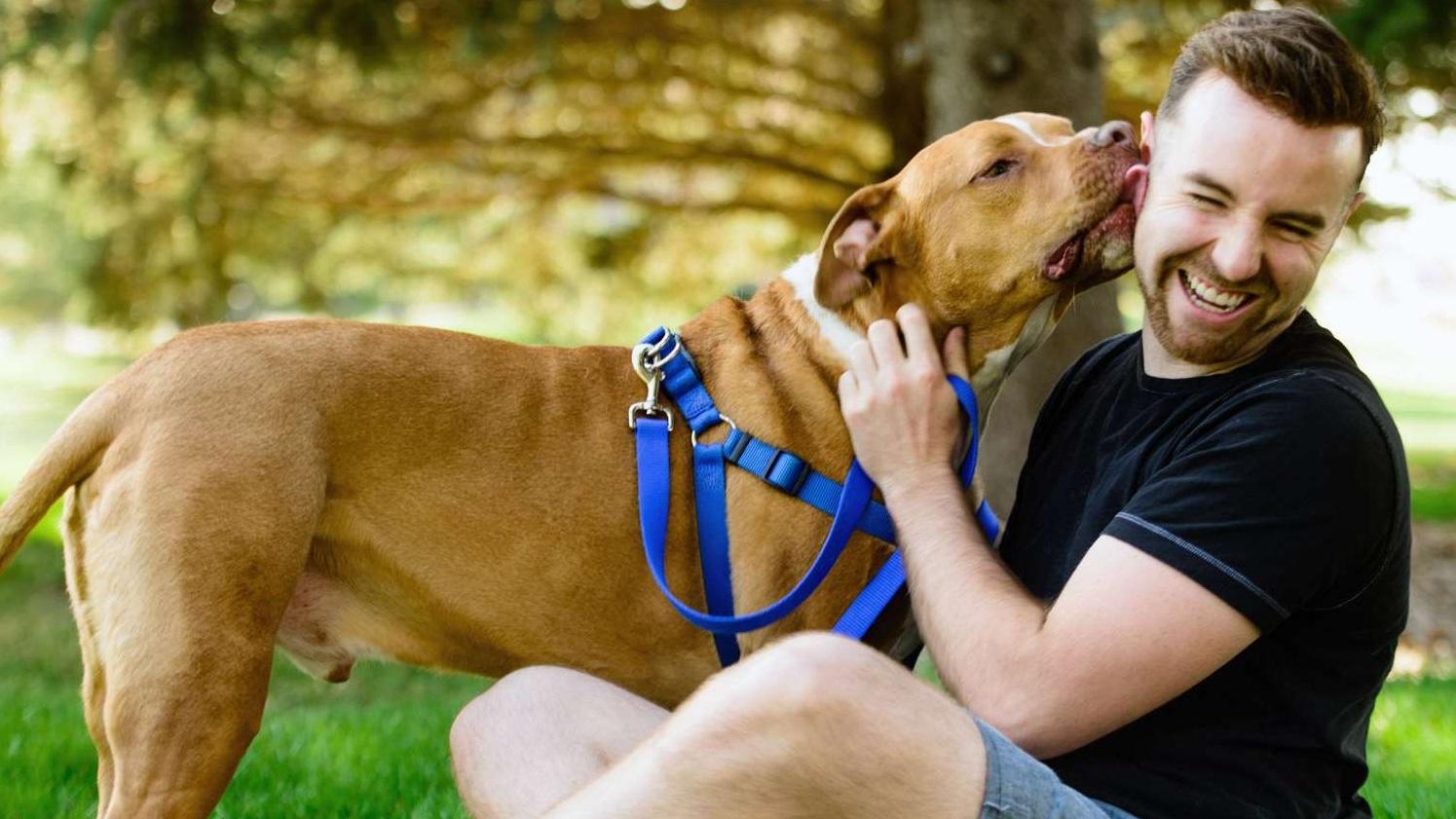 狗狗愛舔表達熱情，專家呼籲民眾跟寵物相處時須注意衛生，尤其是當身上有傷口或皮膚問題，更應特別留意。(互聯網)