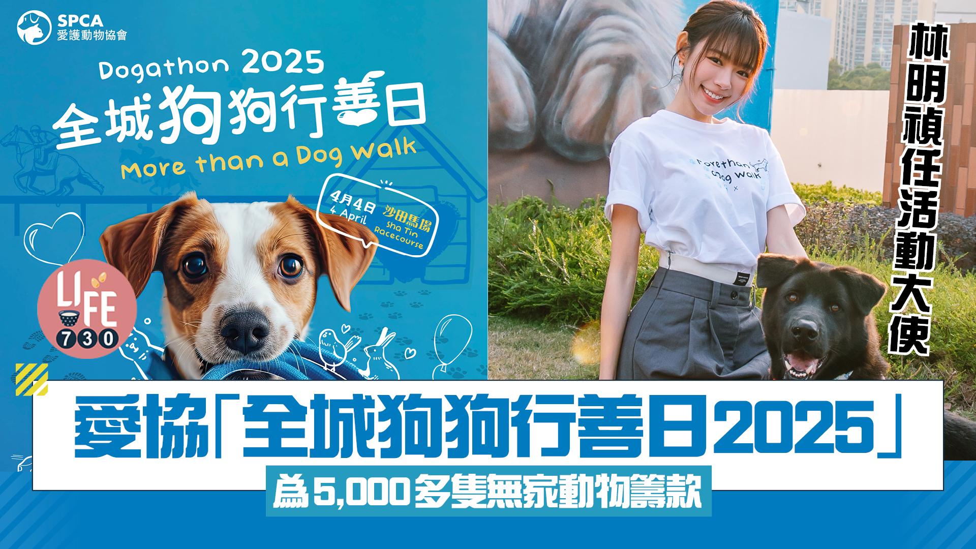 愛協「全城狗狗行善日2025」 慈善步行+寵物友善嘉年華 為5,000多隻無家動物籌款