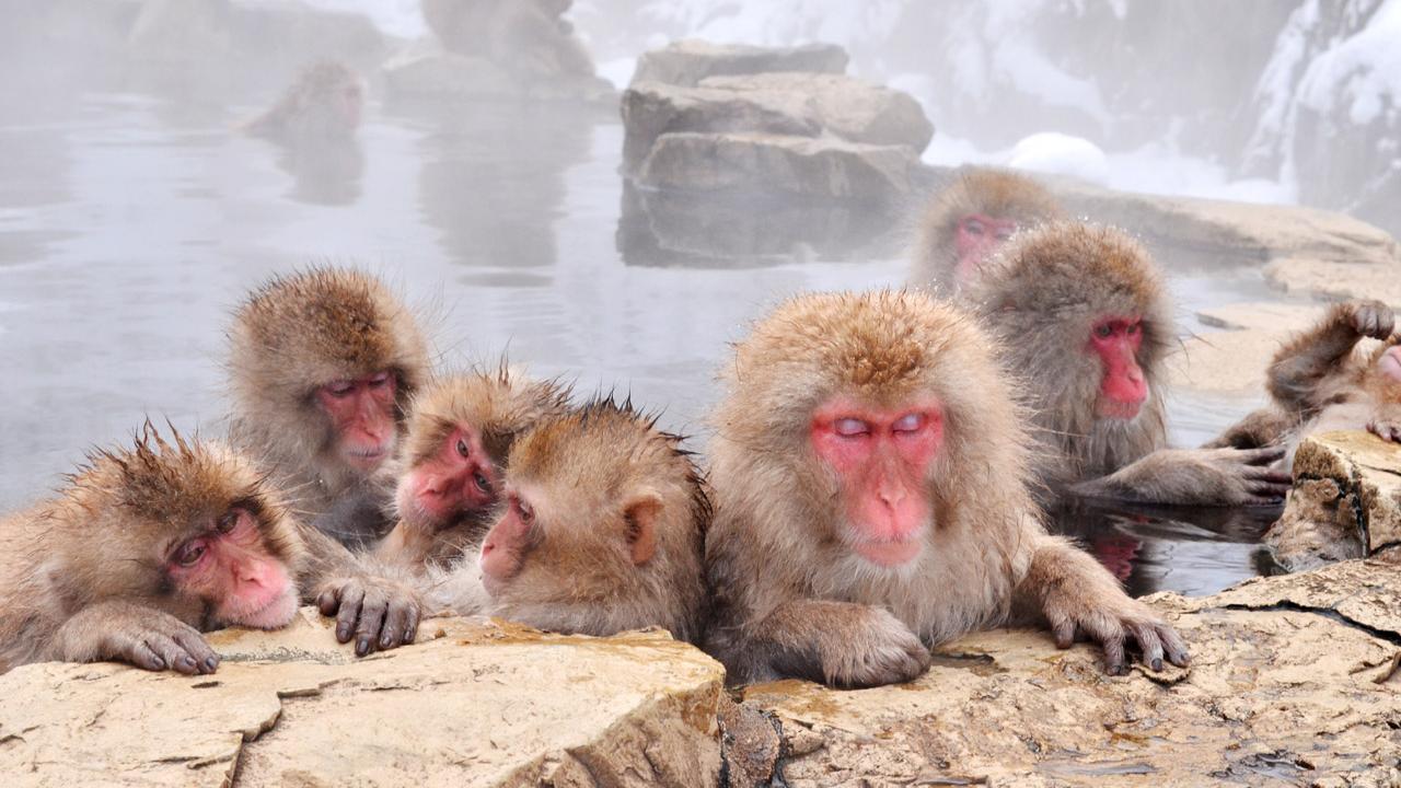 日本推動溫泉文化納入聯合國教科文組織的非物質文化遺產。(網上圖片)