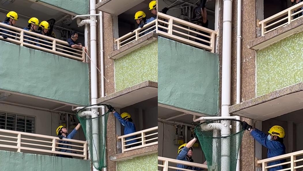 柴灣有貓咪被困簷篷。（fb「柴灣小西灣關注組 2.0」圖片）