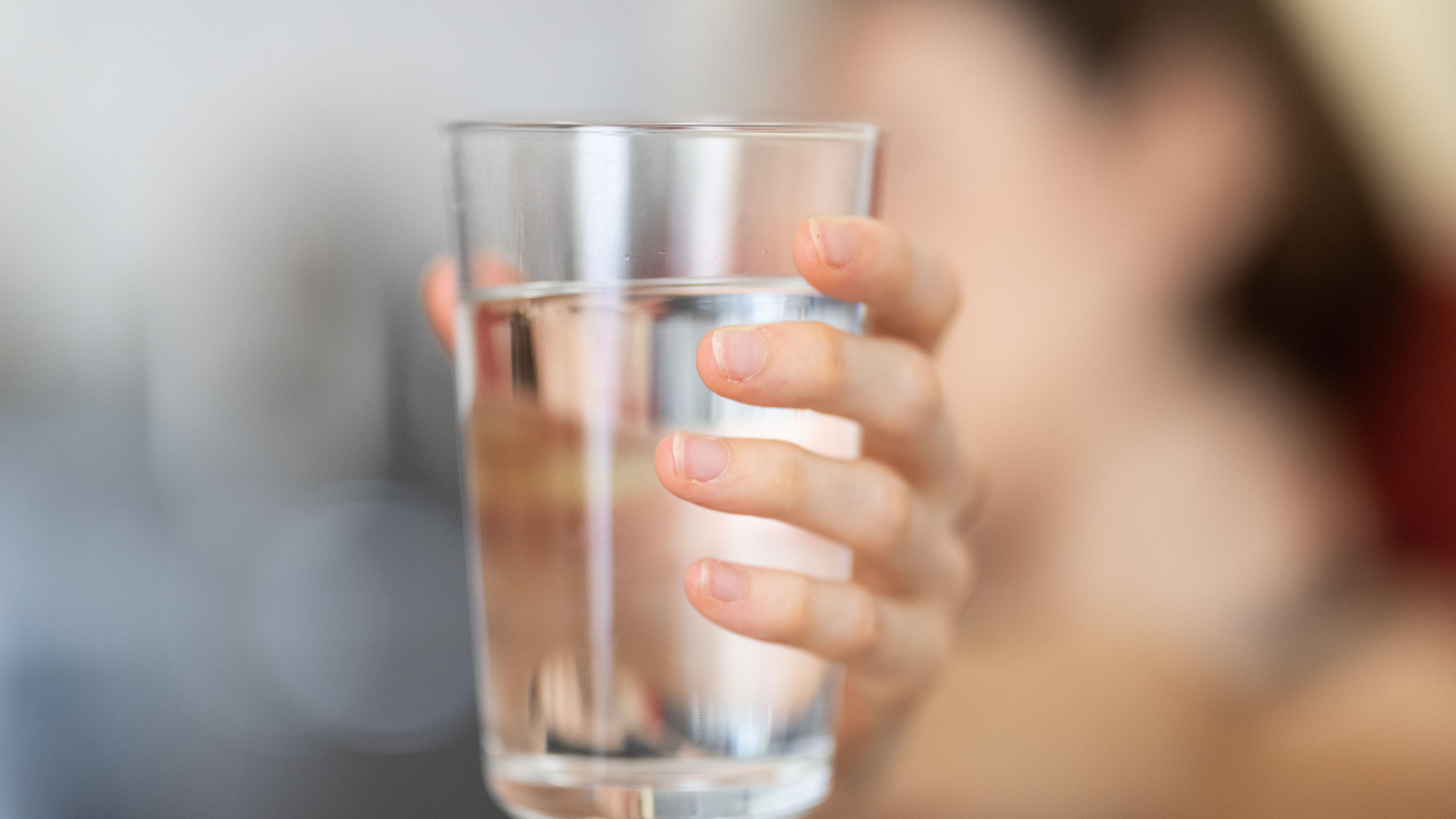 腎臟 腎功能 護腎習慣 護腎