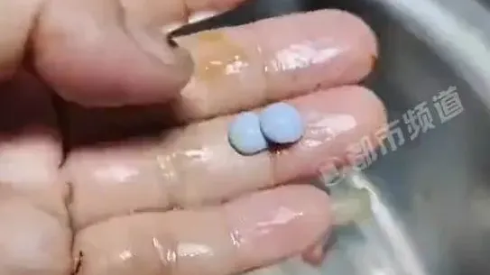 內地女洗小龍蝦意外挖出「珍珠」 專家釋疑：不建議食用