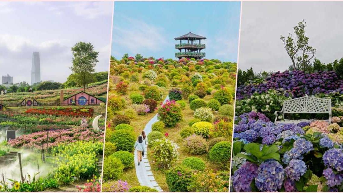 惠州/東莞/佛山/肇慶必看4月花海　嚴選賞花遊樂好去處