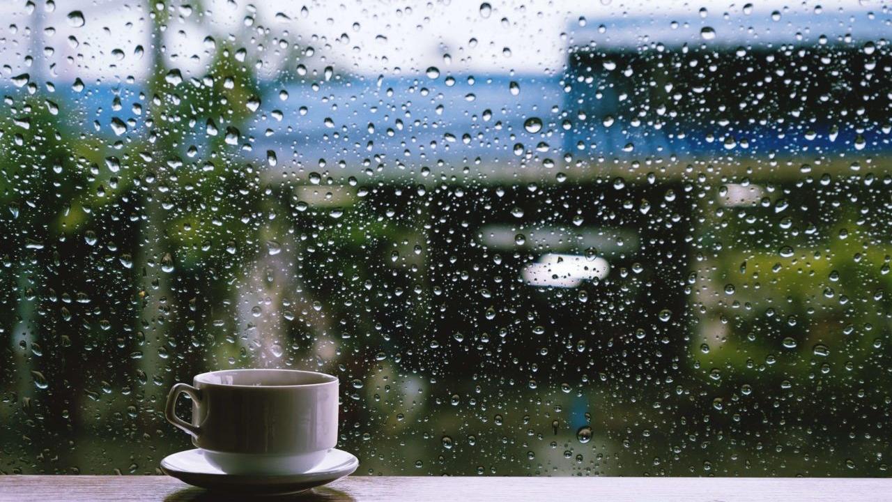 穀雨又熱又濕 4種茶飲助你疏肝去濕補氣血