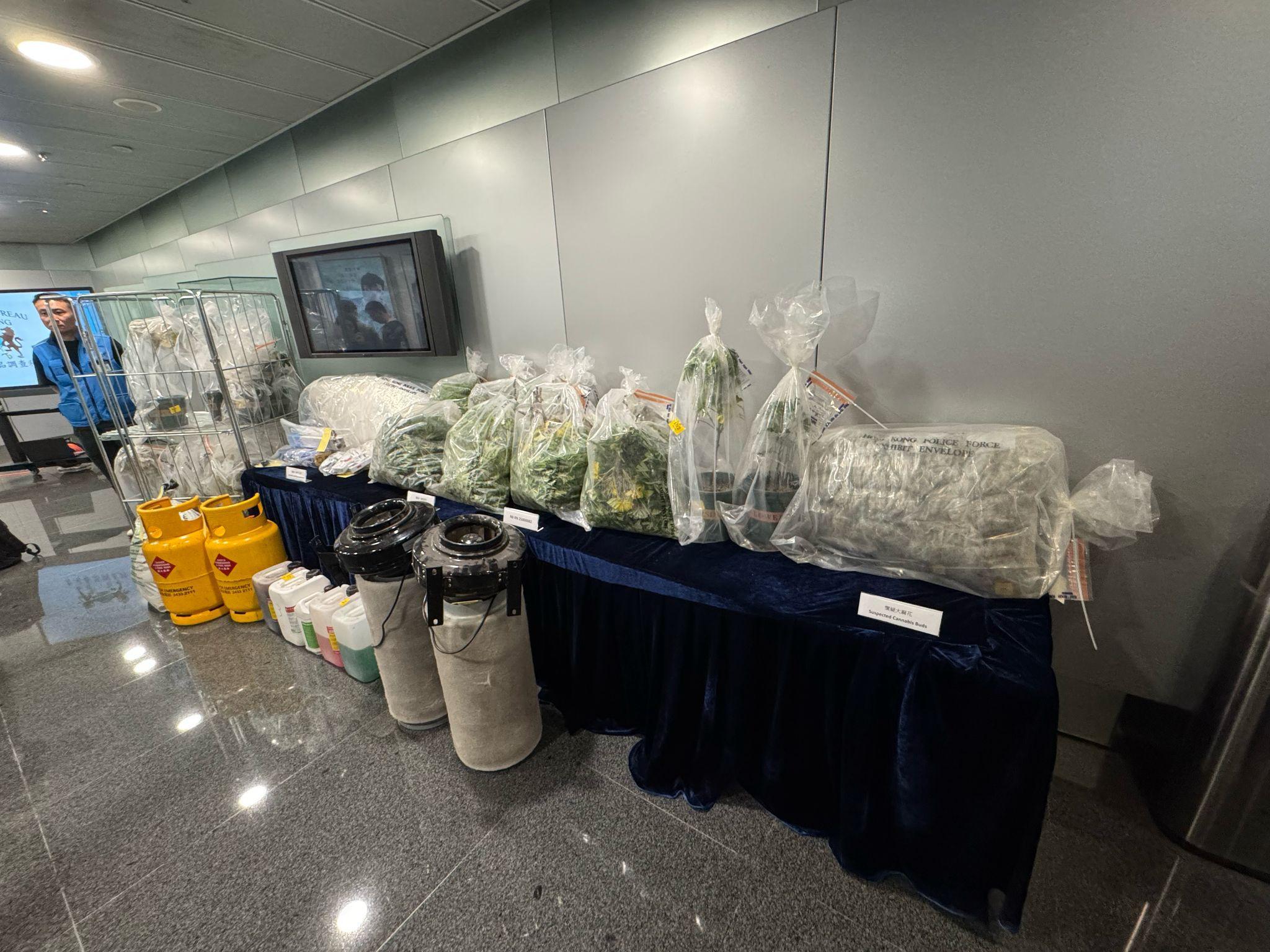 警打鼓嶺搗大麻種植場，檢500萬元收成品拘兩人。