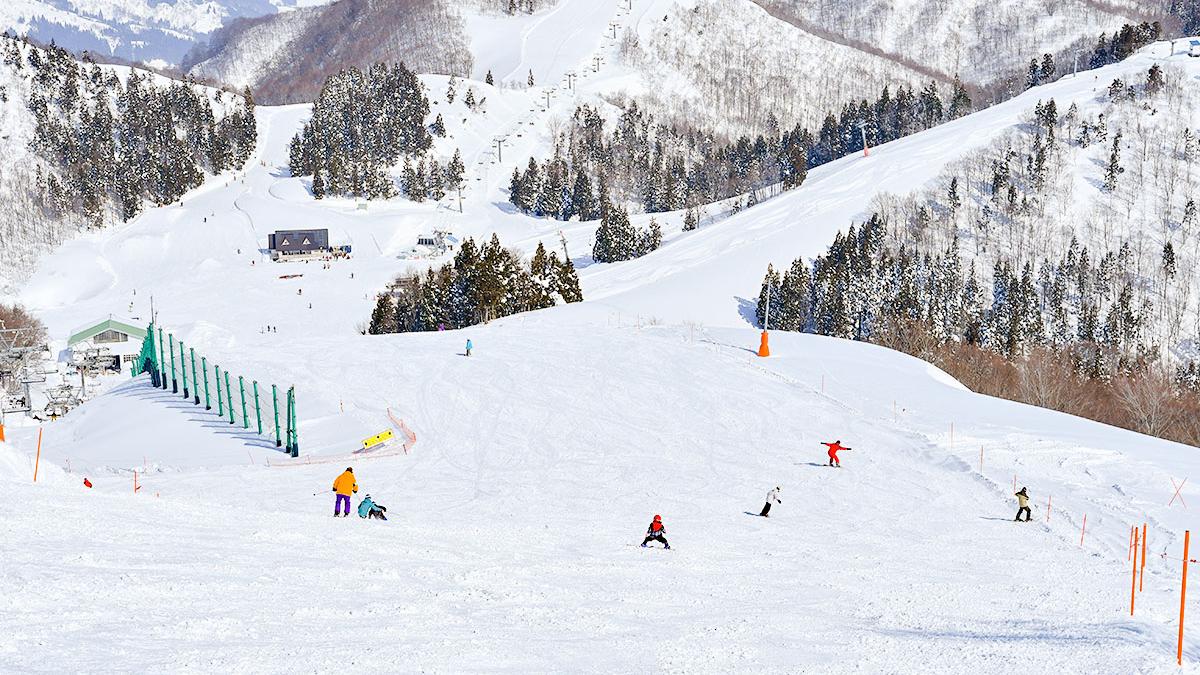 GALA湯澤滑雪場。(網上圖片)
