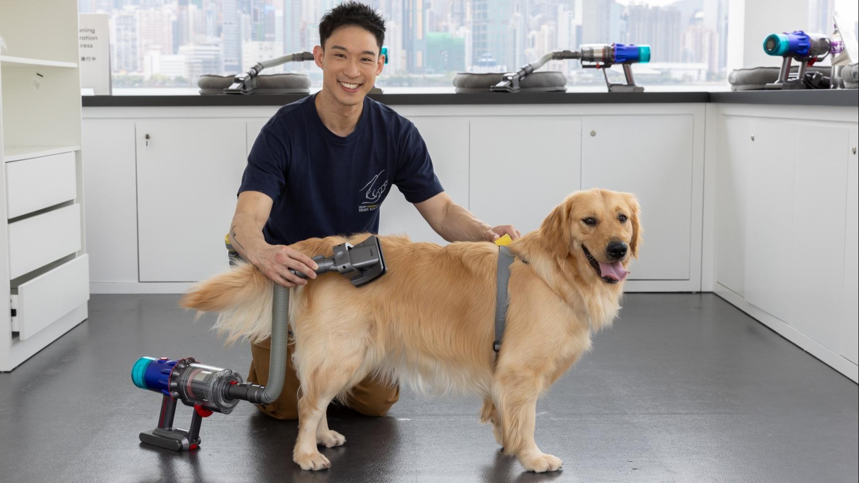 Dyson西九寵物活動　特設互動打卡位及寵物專用吸塵機體驗