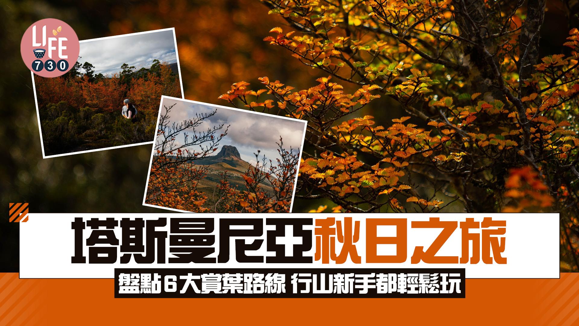 澳洲旅遊｜塔斯曼尼亞秋日之旅 盤點6大必行賞葉路線 行山新手都輕鬆玩