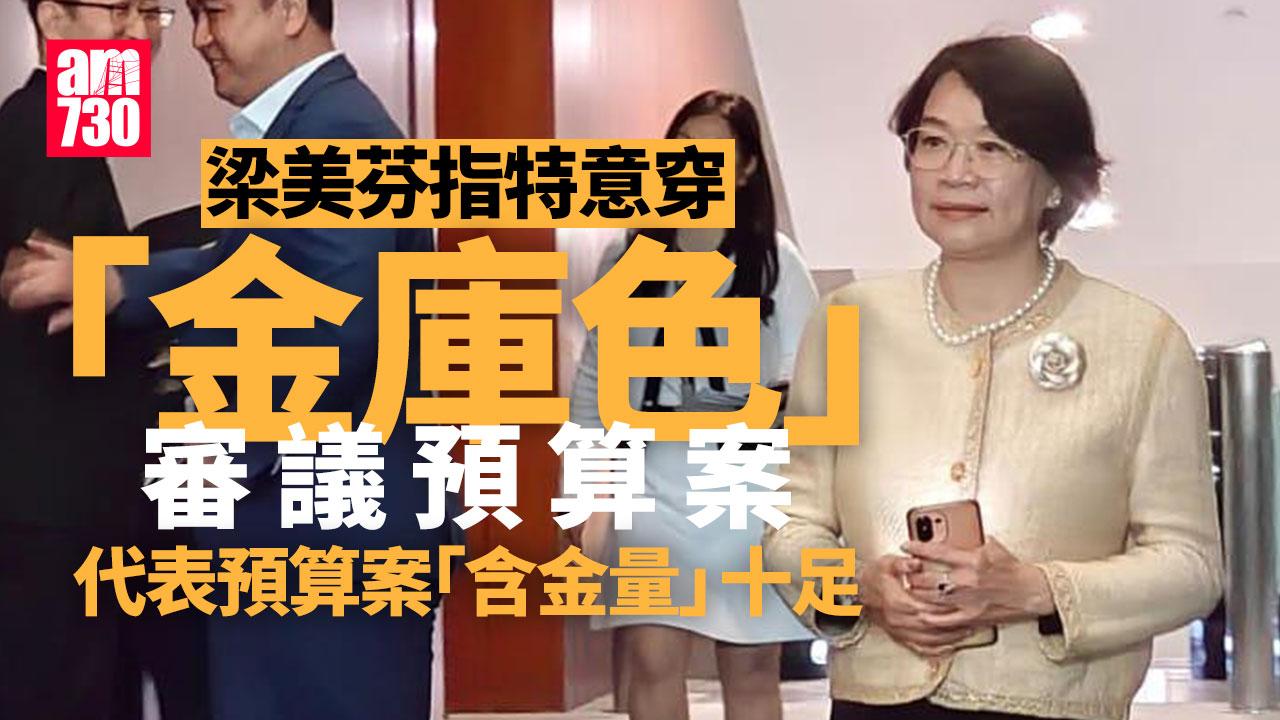Ray 梁美芬指特意穿「金庫色」審議預算案，寓意預算案「含金量」十足