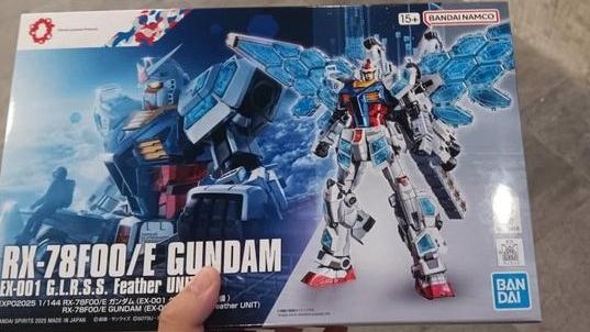 網民為免家人「審查」新買模型，暫存後樓梯後不翼而飛(Facebook群組圖片)