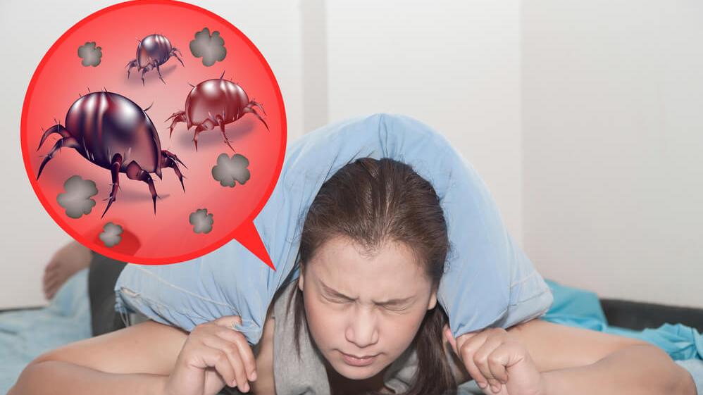 香港氣候潮濕塵蟎容易孳生，而許多人具有對塵蟎過敏的體質，這可能誘發哮喘、過敏性鼻炎等呼吸道疾病。