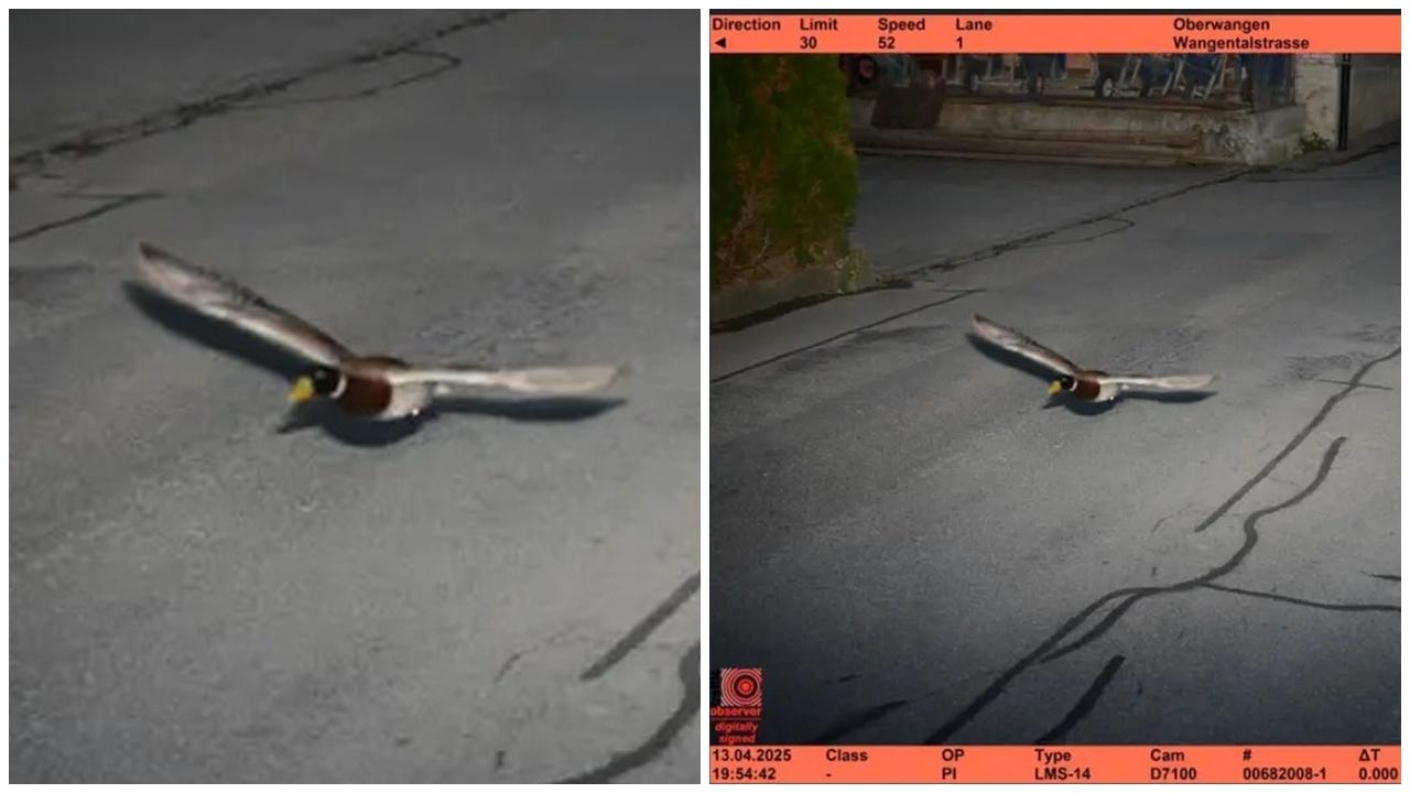 雷達拍到另類超速，記錄顯示或是慣犯。(FB)