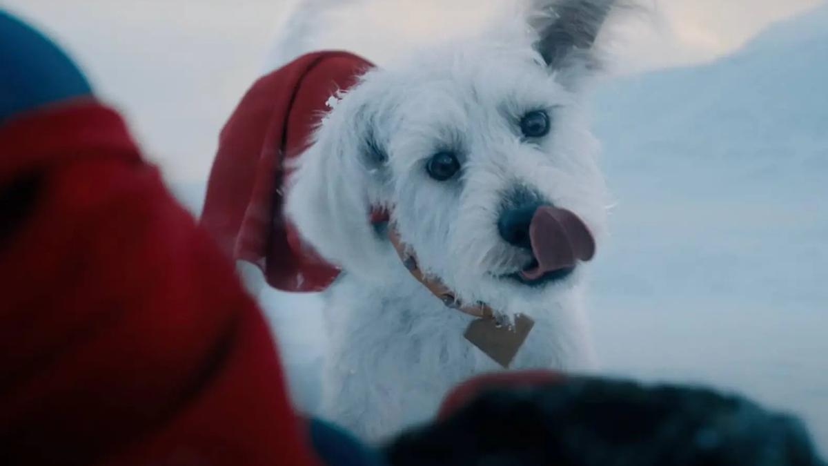 新版《超人》新預告 超人狗狗Krypto封DC寵兒