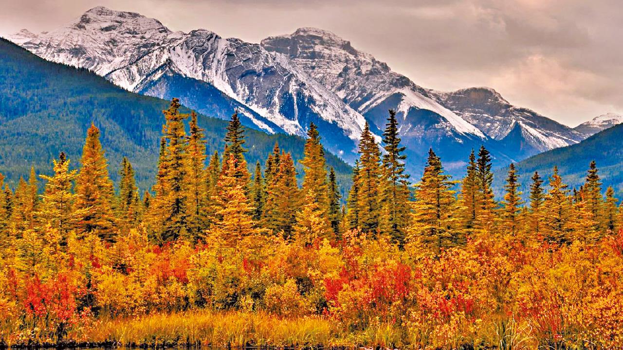 加拿大紅葉盛宴 班芙、威士拿、溫哥華 賞楓名所一次飽覽