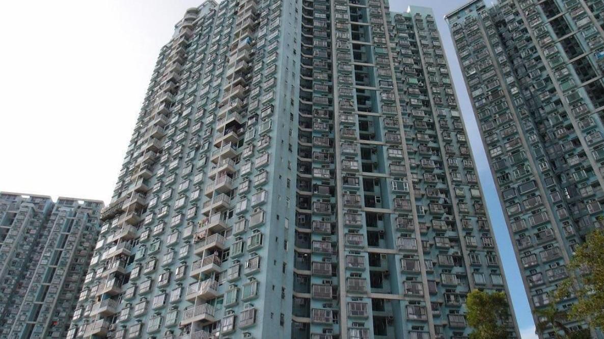 邁亞美海灣一單位內兩隻貓一死一生還。