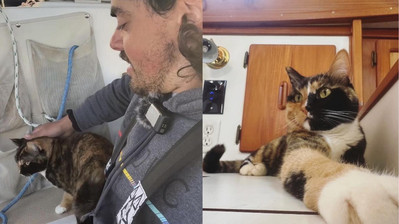 男子裸辭後與愛貓帆船橫渡太平洋！航行25天抵達夏威夷爆紅