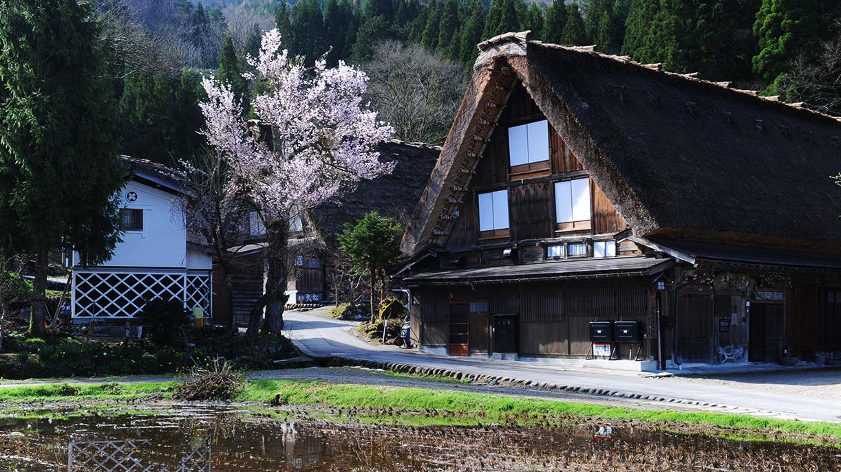 日本旅遊熱點白川鄉。(官方網頁)