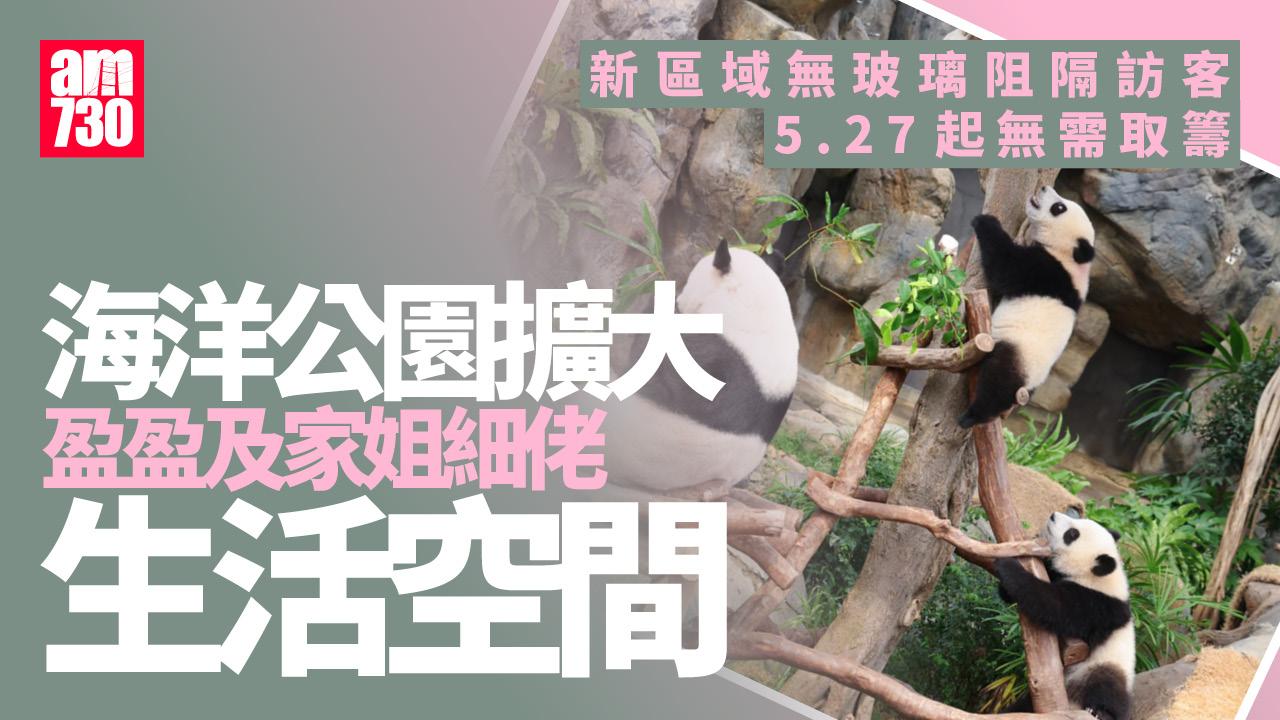家姐細佬「進佔」新區域 大熊貓之旅展館月底進場無需取籌