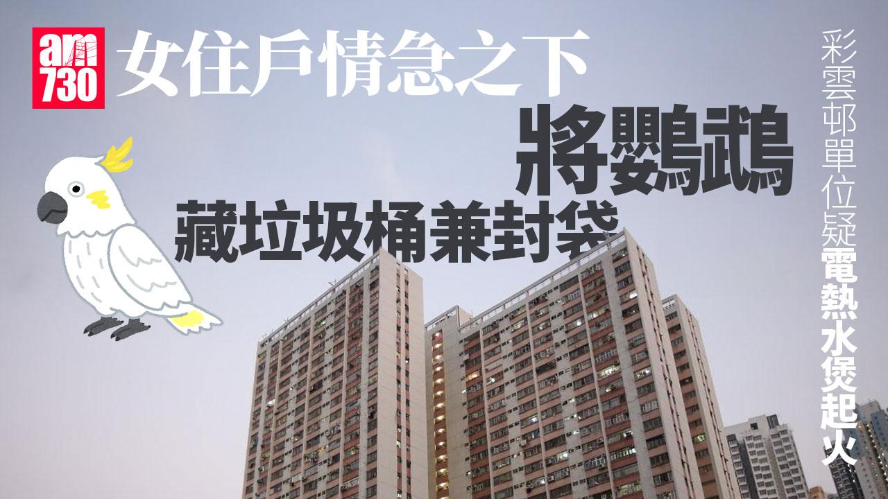 黃大仙彩雲邨單位疑電熱水煲起火　女住戶將鸚鵡藏垃圾桶防煙