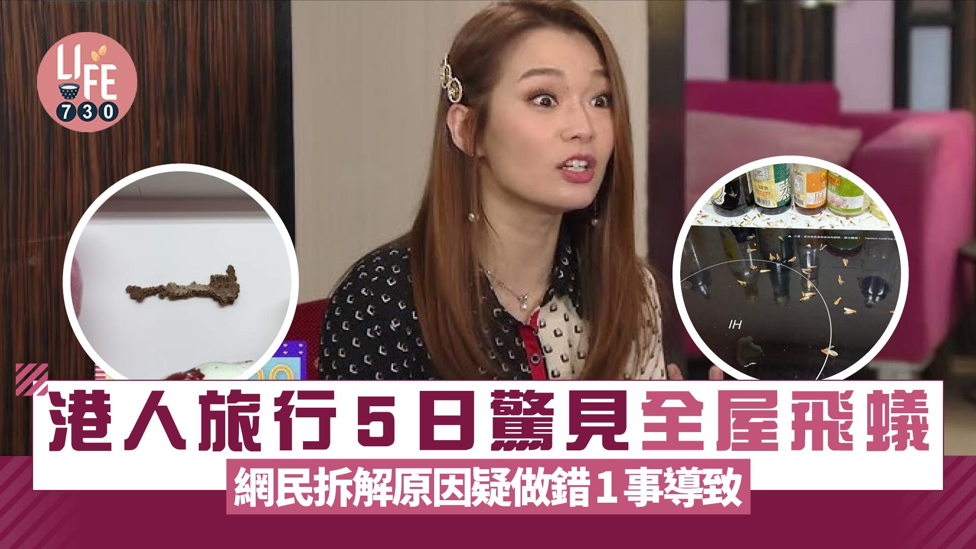 網上熱話｜港人旅行5日驚見全屋飛蟻 網民拆解原因疑做錯1事導致