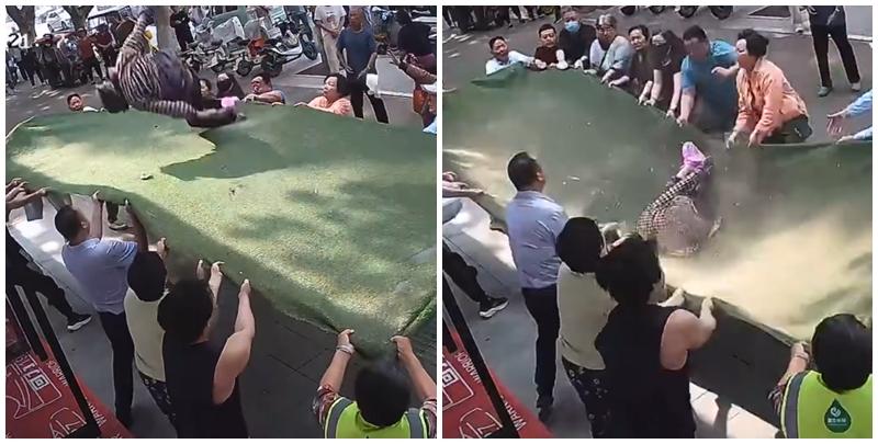 河南省駐馬店市一名102歲女人瑞錯把三樓窗戶當成了門欲爬出，半個身子懸於半空。樓下商戶及街坊十多人發現後扯出店內草坪地毯搭建「生命毯」，眾人合力將她接住。(影片截圖)
