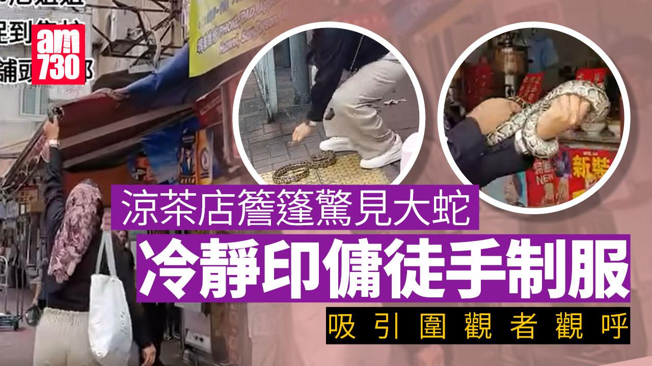 網上熱話｜涼茶店簷篷驚見大蛇　印傭化身「蛇后」徒手制服兼把玩