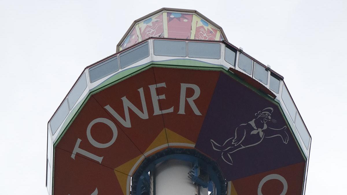 海洋公園「海洋摩天塔」昨晚故障，有17乘客被困約2小時。(資料圖片)