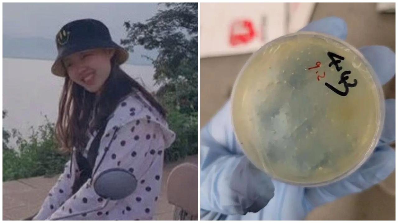 美國再拘中國科學家涉偷運生物材料，活體線蟲藏書夾層闖關。(網上截圖)