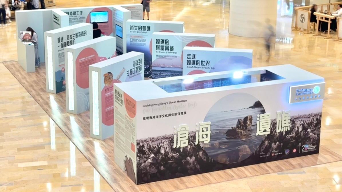 保育海底「蠔」傑