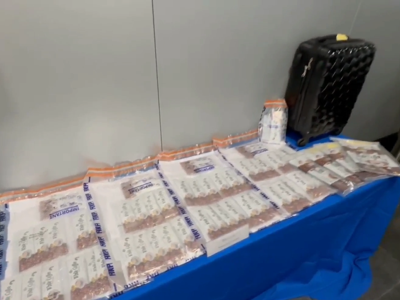咖啡粉掩飾270萬元可卡因，23歲外籍女為5000元報酬運毒被捕。(香港警察直播截圖)