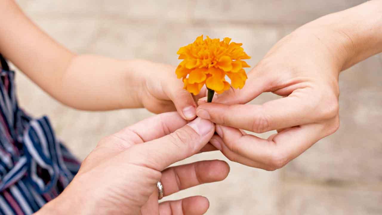 幫助的本質：從「應該」到「感恩」