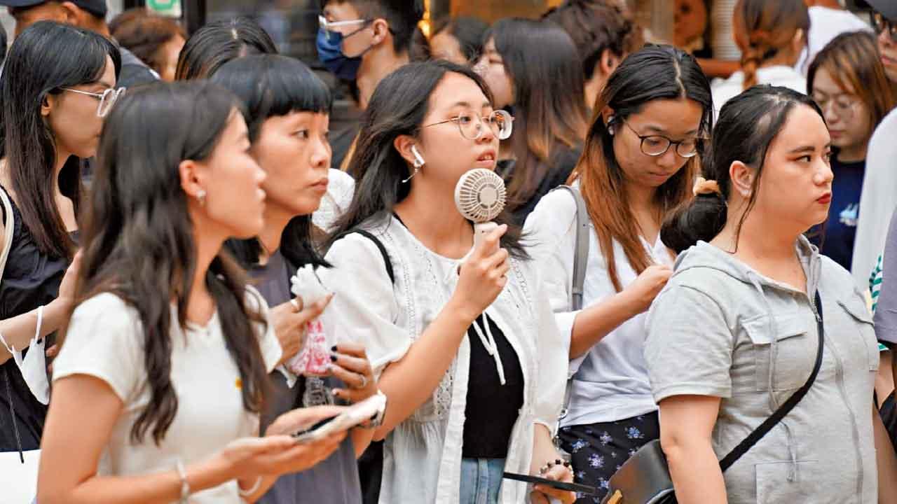 圖片新聞｜俗語