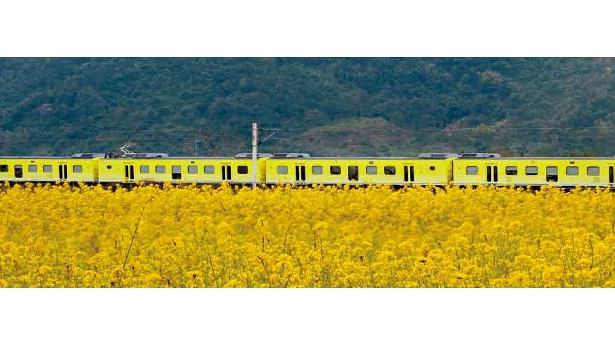 上山消暑下海清涼 今夏逃離香港 感受台灣微笑盛夏