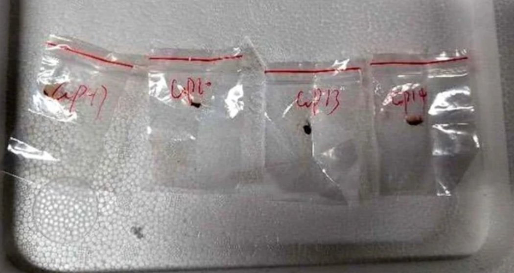 美國司法部起訴兩名中國公民，涉嫌走私一種有毒真菌「禾穀鐮刀菌」（Fusarium graminearum）到美國，指該真菌是「潛在農業恐怖主義武器」，可對小麥、大麥、粟米和稻米等構成嚴重破壞，每年造成數十億美元損失。