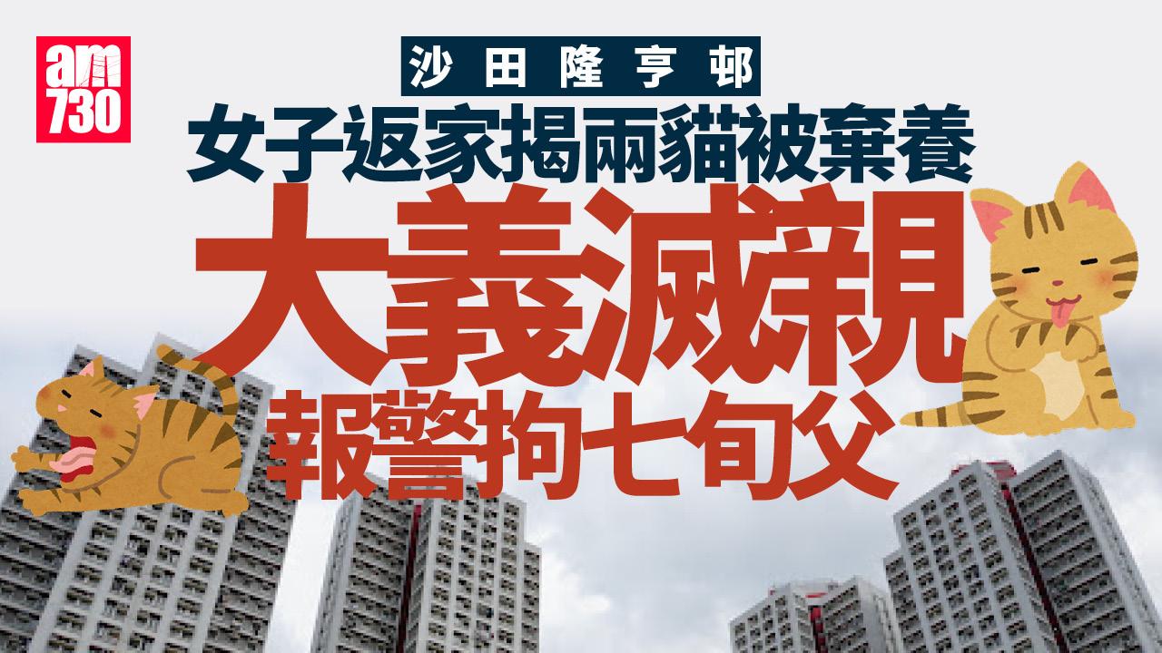 沙田隆亨邨31歲女子兩貓「被棄養」 返家揭發報警拘七旬父